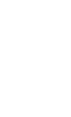 rise_footer